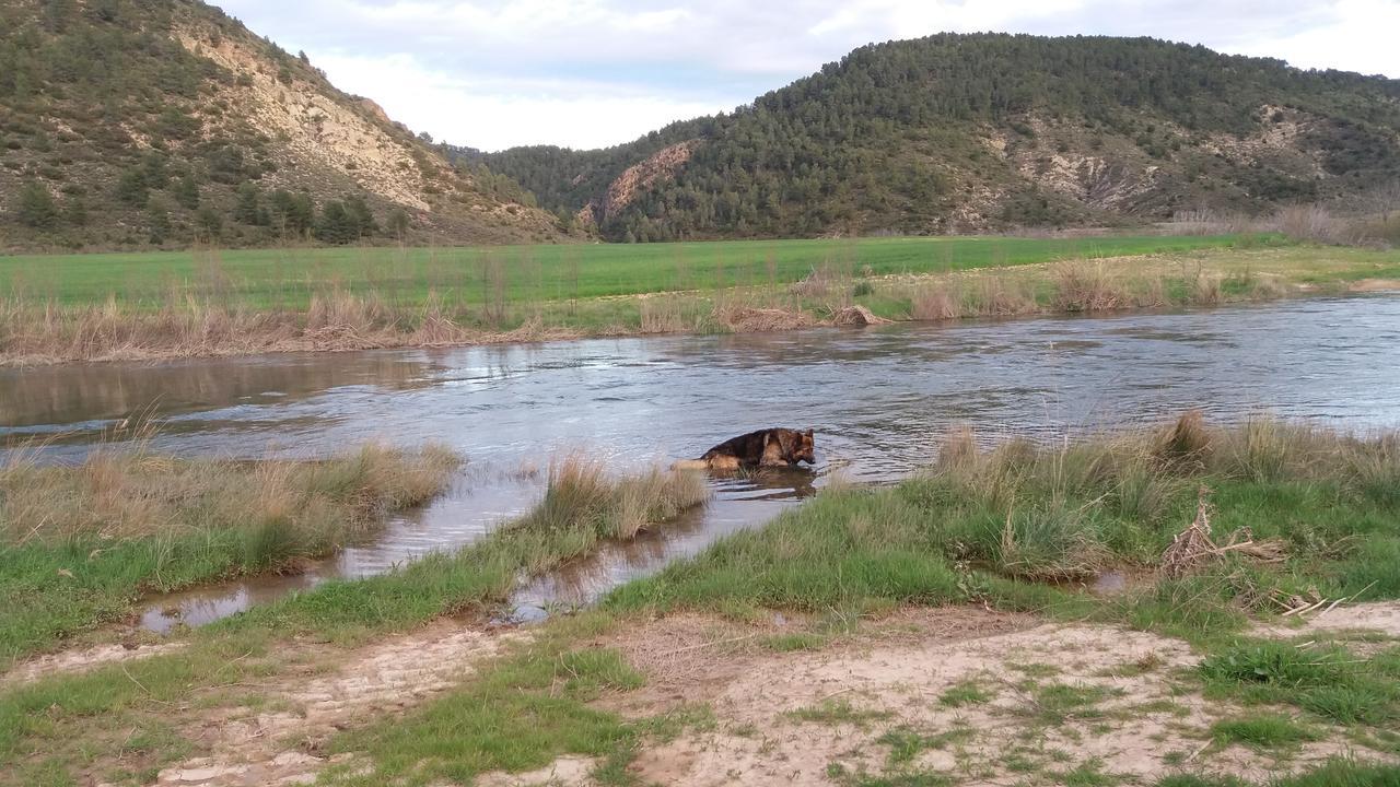 فندق Alojamiento Rural Los Carriles Enguídanos المظهر الخارجي الصورة